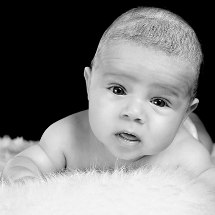 Babyfotos Linz